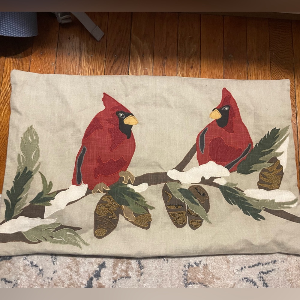 Pottery barn cardinal pillow case